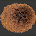 Natural Brown Pine Cone Decorative Home Decor Item With Conical Shape For Interior Decoration
