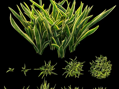 Lush Green Herb Plants With Diverse Leaf Shapes And Round Foliage For Garden 3d model