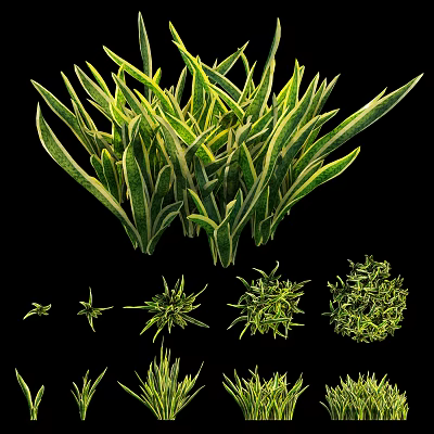 Lush Green Herb Plants With Diverse Leaf Shapes And Round Foliage For Garden 3d model