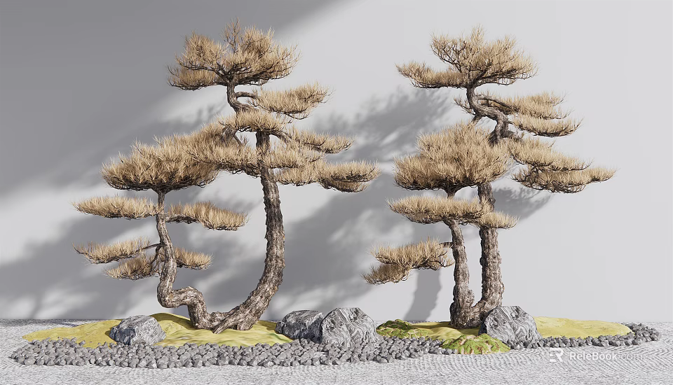 Unique Shaped Bonsai Pine Trees With Curved Trunks Pine Needles And Decorative Rocks 3d model 