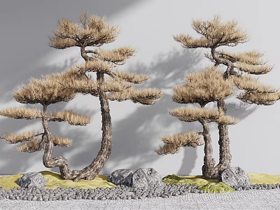 Unique Shaped Bonsai Pine Trees With Curved Trunks Pine Needles And Decorative Rocks 3d model