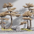 Unique Shaped Bonsai Pine Trees With Curved Trunks Pine Needles And Decorative Rocks 3d model