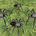 Four Large Spiders Crawling On Green Textured Ground Surface