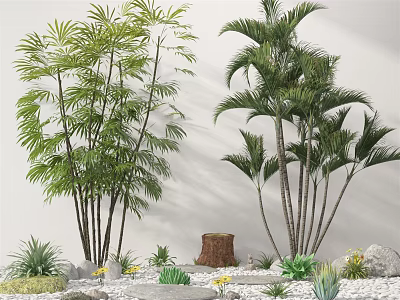 Lush Bamboo Palm Trees with Small Plants Tree Stump and Stones on White Background Wall 3d model
