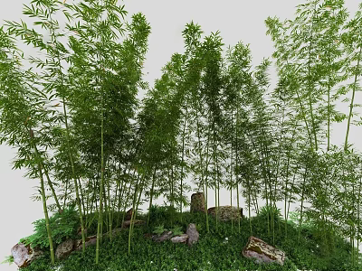 Lush Bamboo Grove With Tall Stems Stones And Green Grass 3d model