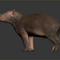 Realistic Brown Hippo Sculpture On Gray Gradient Background With Smooth Surface And Reflection 3d model