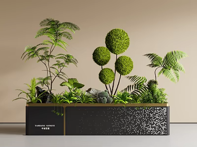 Decorative Indoor Plant Arrangement with Round Topiaries Ferns in Black Gold Trim Planter 3d model