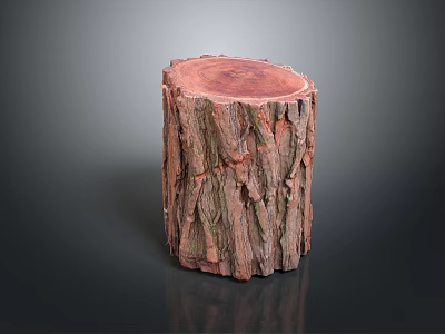 Wooden Stump Decorative Piece With Natural Bark Texture And Smooth Top Surface 3d model