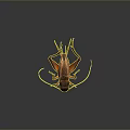 Realistic Brown Cricket With Long Antennae Detailed Wings On Dark Reflective Surface