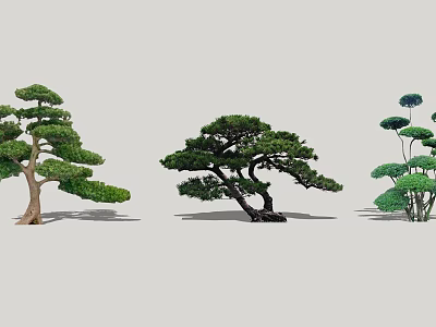 Ornamental Arbor Trees With Varied Shapes Lush Foliage And Artistic Pruning 3d model