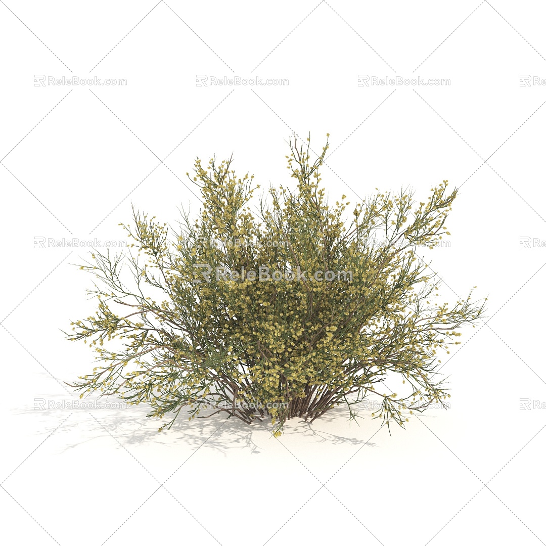 shrubs flowers plants green plants flowers 3d model