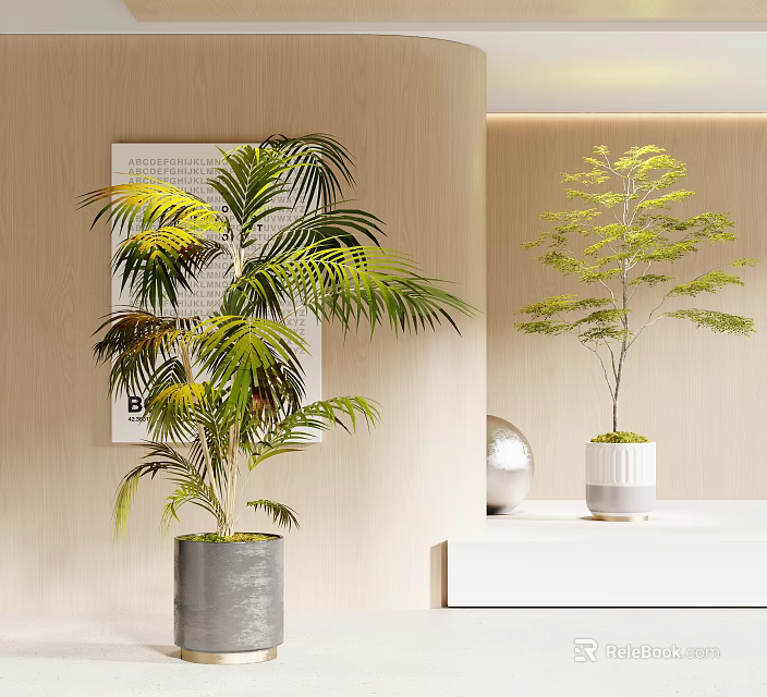 Minimalist Indoor Bonsai Potted Plants With Green Palm Leaves And Lush Foliage In Gray White Pots 3d model 