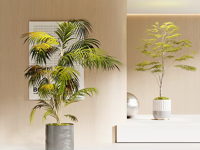 Minimalist Indoor Bonsai Potted Plants With Green Palm Leaves And Lush Foliage In Gray White Pots 3d model
