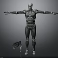 Futuristic Metallic Humanoid Robot With Mechanical Structure Standing Pose And Glowing Chest Accessory