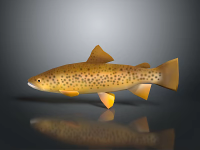 Brown Spotted Trout With Yellow Fins And Reflective Body Surface 3d model