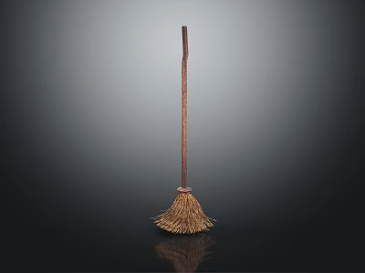 Traditional Broom With Wooden Handle And Natural Bristles Showing Reflection On Black Background 3d model