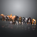 Various Dog Breeds of Different Sizes and Colors Standing on Gray Background with Reflections