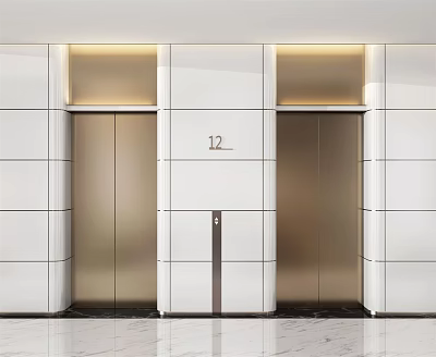 Elevator Lobby Design With White Wall Panels Metallic Doors And Recessed Lighting 3d model