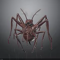 Red Insect with Long Thin Legs Transparent Antennae and Detailed Artistic 3D Render