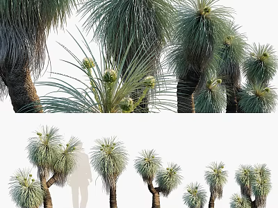 Modern Tree Landscape Trees Ponkweed Tree 3d model