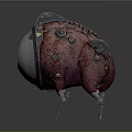 Sci Fi Mechanical Creature Featuring Red Flesh Like Body Silver Circular Section And Metal Legs