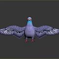 Blue Purple Pigeon With Spread Wings On Black Surface With Reflection And Gray Gradient Background 3d model