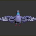 Modern pigeon flat pigeon bird bird 3d model