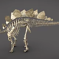 dinosaur fossil dinosaur fossil animal bone 3d model