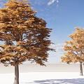 Golden Leaf Deciduous Trees Standing On White Ground Under Blue Sky With Clouds 3d model
