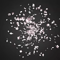 Falling Pink Cherry Blossom Petals on Black Background Romantic Aesthetic View