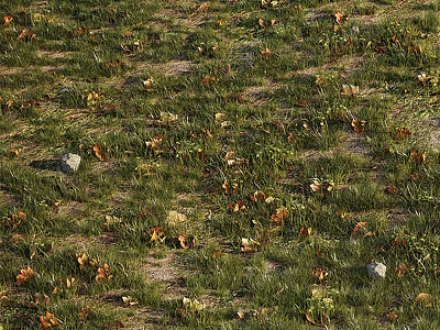 Vibrant Flowers and Grasses on Green Grassland with Small Stones and Brown Tones 3d model