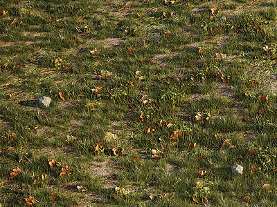 modern grassland 3d model