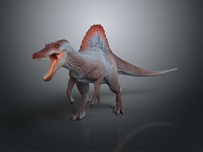 Spinosaurus With Red Sail Open Mouth Sharp Teeth Standing On Gray Background 3d model