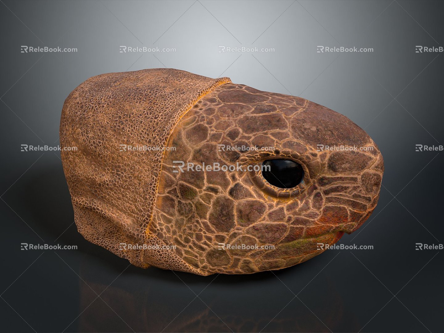 Turtle Turtle Cartoon Turtle Snapping Turtle Chickpea Turtle Reptile Cold Blooded Animal Reptile 3d model