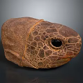 Turtle Cartoon Turtle Snapping Turtle Chickpea Turtle Reptile Cold Blooded Animal Reptile 3d model