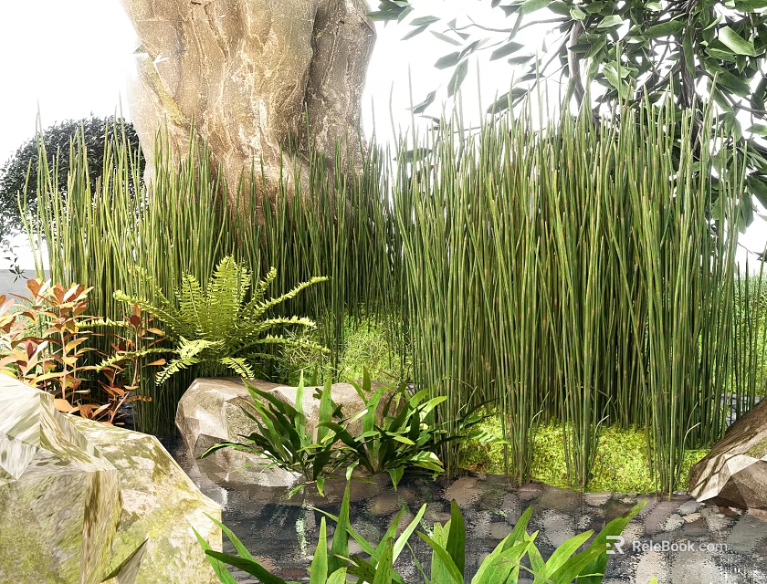 Tall Green Shrubs In Natural Garden Setting With Rocks Small Ferns And Water 3d model 