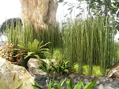 Tall Green Shrubs In Natural Garden Setting With Rocks Small Ferns And Water 3d model