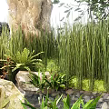 Tall Green Shrubs In Natural Garden Setting With Rocks Small Ferns And Water