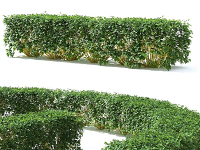 Decorative Ornament Set With Neatly Trimmed Green Plant Bushes In Various Shapes 3d model
