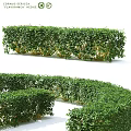 Decorative Ornament Set With Neatly Trimmed Green Plant Bushes In Various Shapes