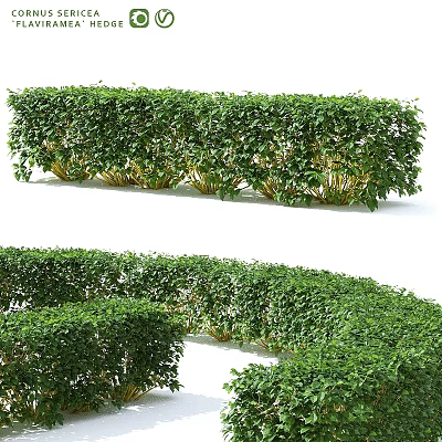 Decorative Ornament Set With Neatly Trimmed Green Plant Bushes In Various Shapes 3d model