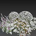 Snow Covered Garden Shrubs With Purple Flowers And Fresh Green Leaves