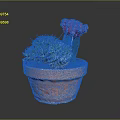Decorative Green Cactus With Red Flowers In Terracotta Pot Succulent Plants