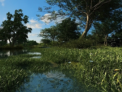 wetland park lake waterscape ecological park zhaoze wetland marshland ecological culture wetland landscape white 3d model