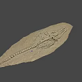 Ancient Aquatic Reptile Fossil Skeleton As Game Movie Character Inspiration