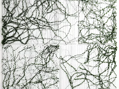 Climbing Green Vines on White Wooden Planks Natural Decorative Foliage Design 3d model