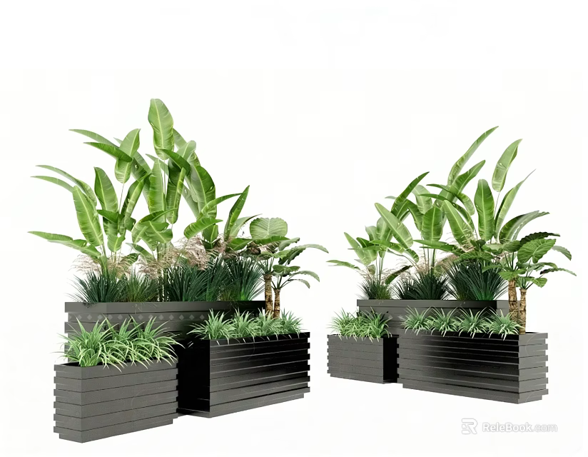 Bonsai Potted Plants with Green Leaves in Black Rectangular Planters for Indoor Outdoor Decor 3d model 