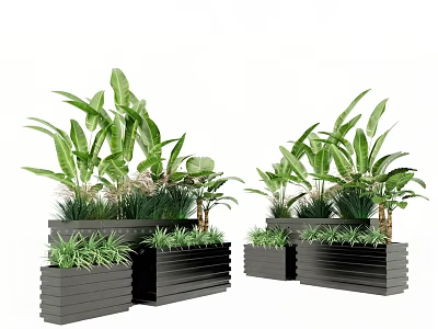 Bonsai Potted Plants with Green Leaves in Black Rectangular Planters for Indoor Outdoor Decor 3d model