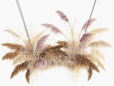 Natural Hanging Pampas Grass Decoration With Brown Beige And Pastel Purple Tones 3d model