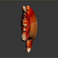Bright Red And Orange Goldfish With Shiny Scales Flowing Fins And Reflection On Dark Background